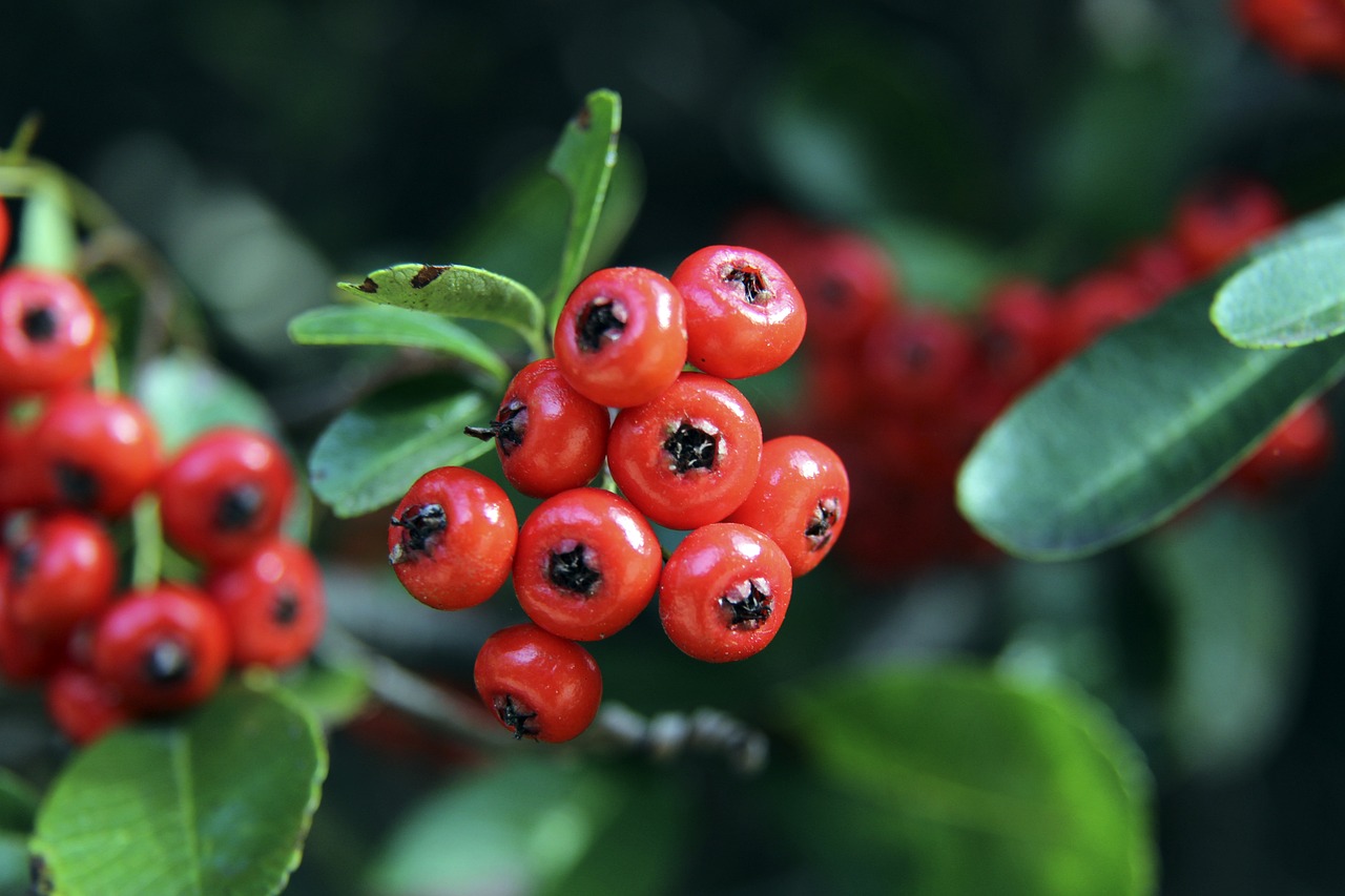 更让球迷们 更让球迷们