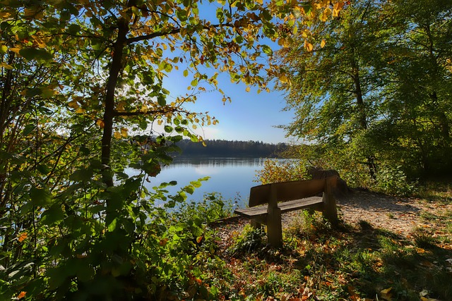 社会的挑战 社会的挑战
