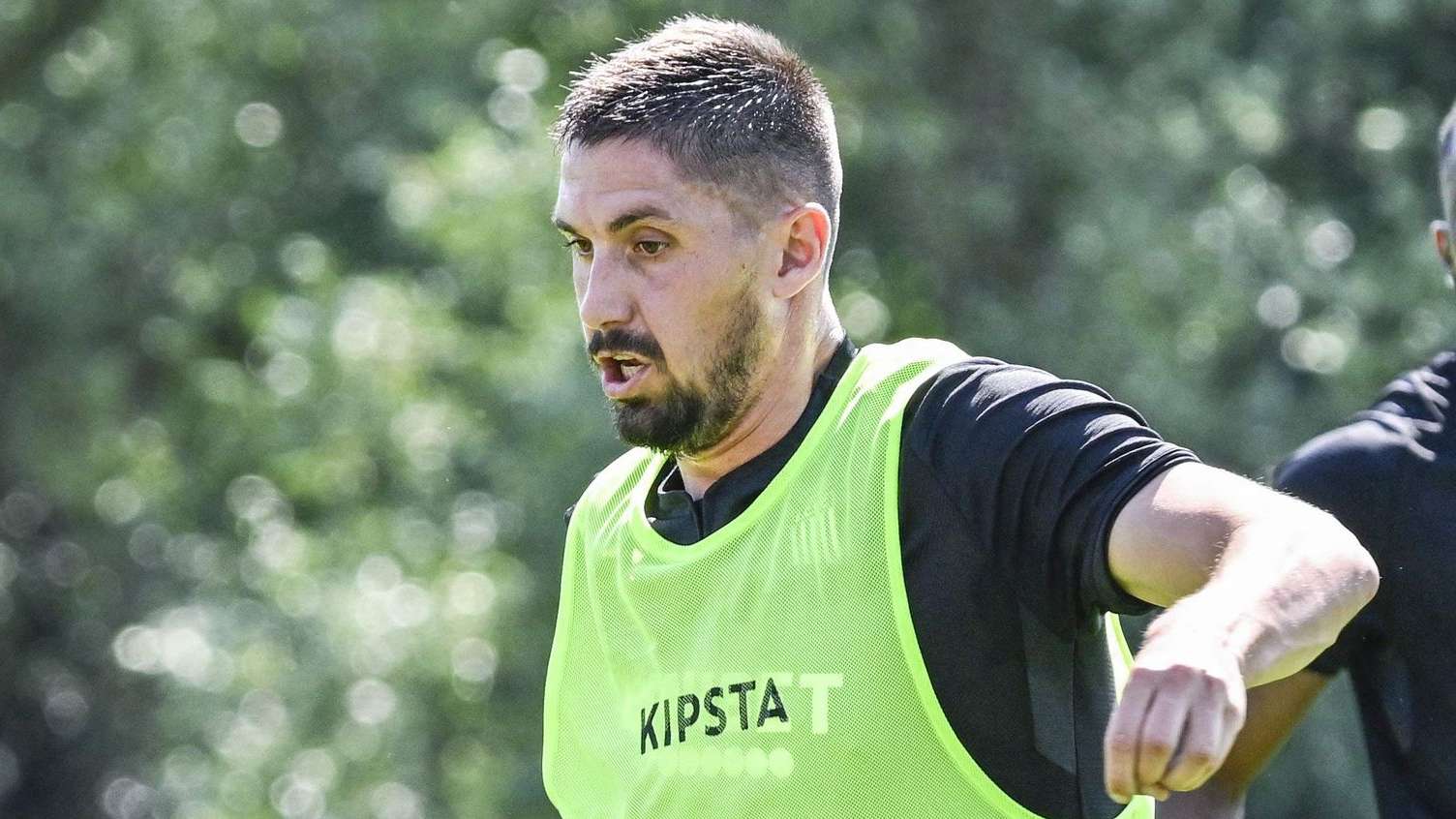 引了更多的 引了更多的