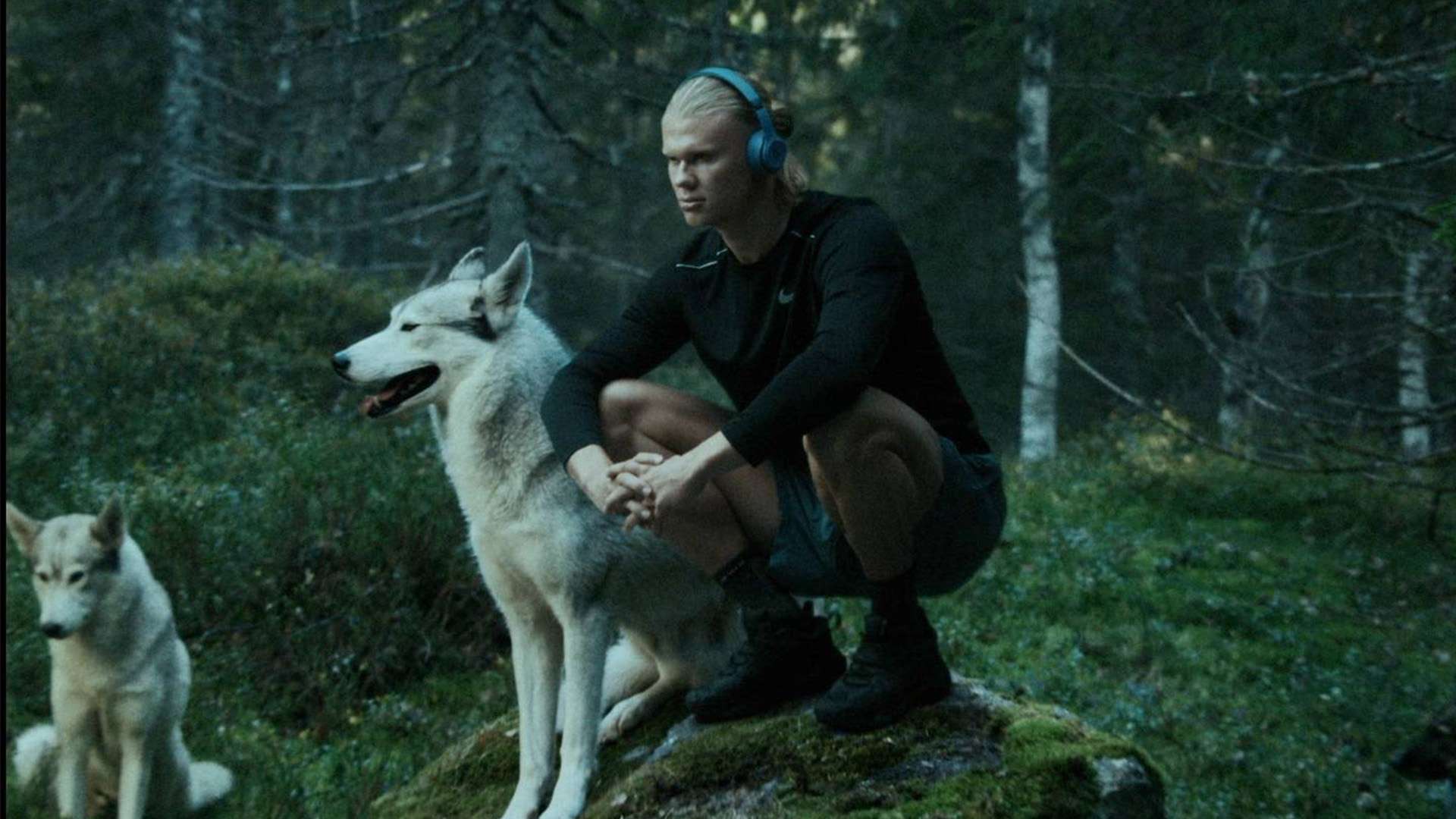 瓜迪奥拉所 瓜迪奥拉所