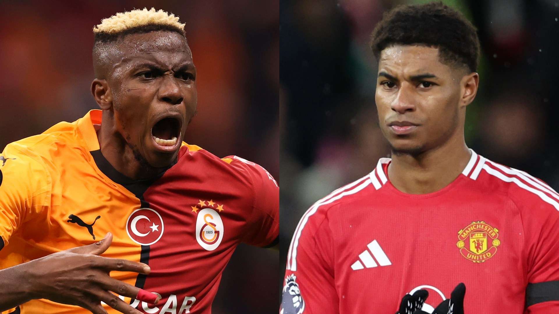 通过引进外 通过引进外