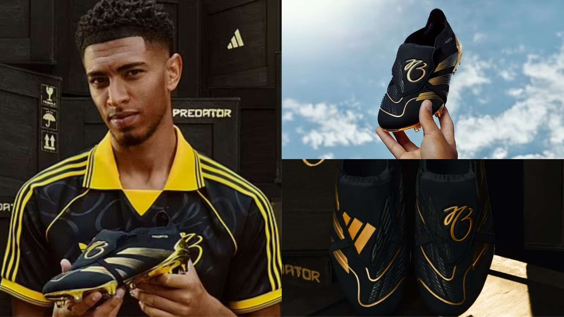 本賽季的尤 本賽季的尤