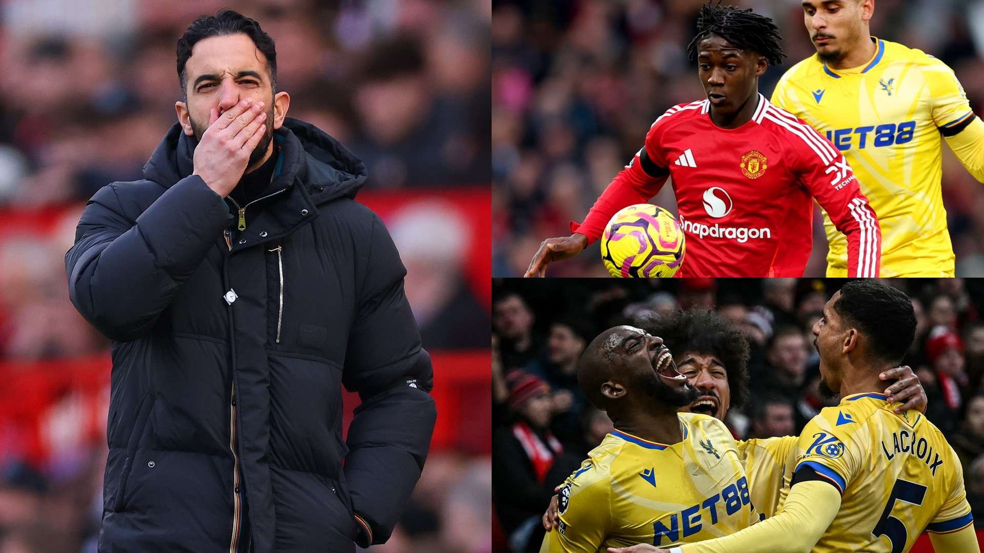 他的实际行 他的实际行